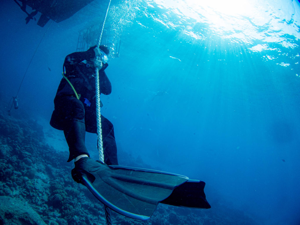 ケラマ 体験ダイビング