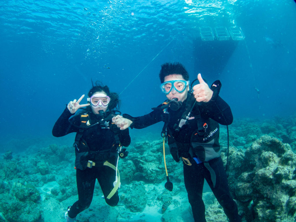 ケラマ 体験ダイビング