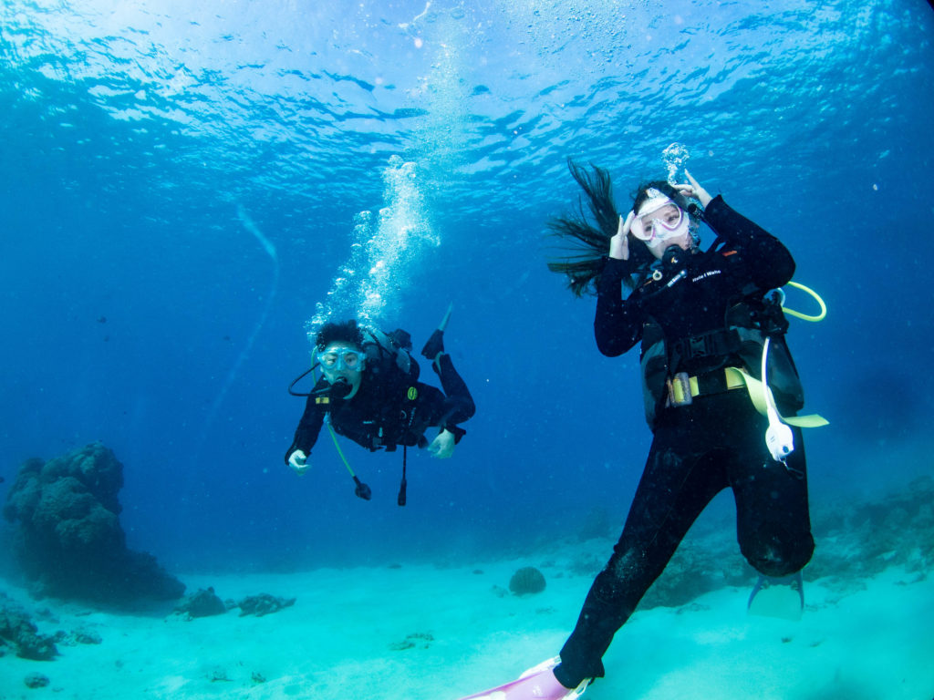 ケラマ 体験ダイビング