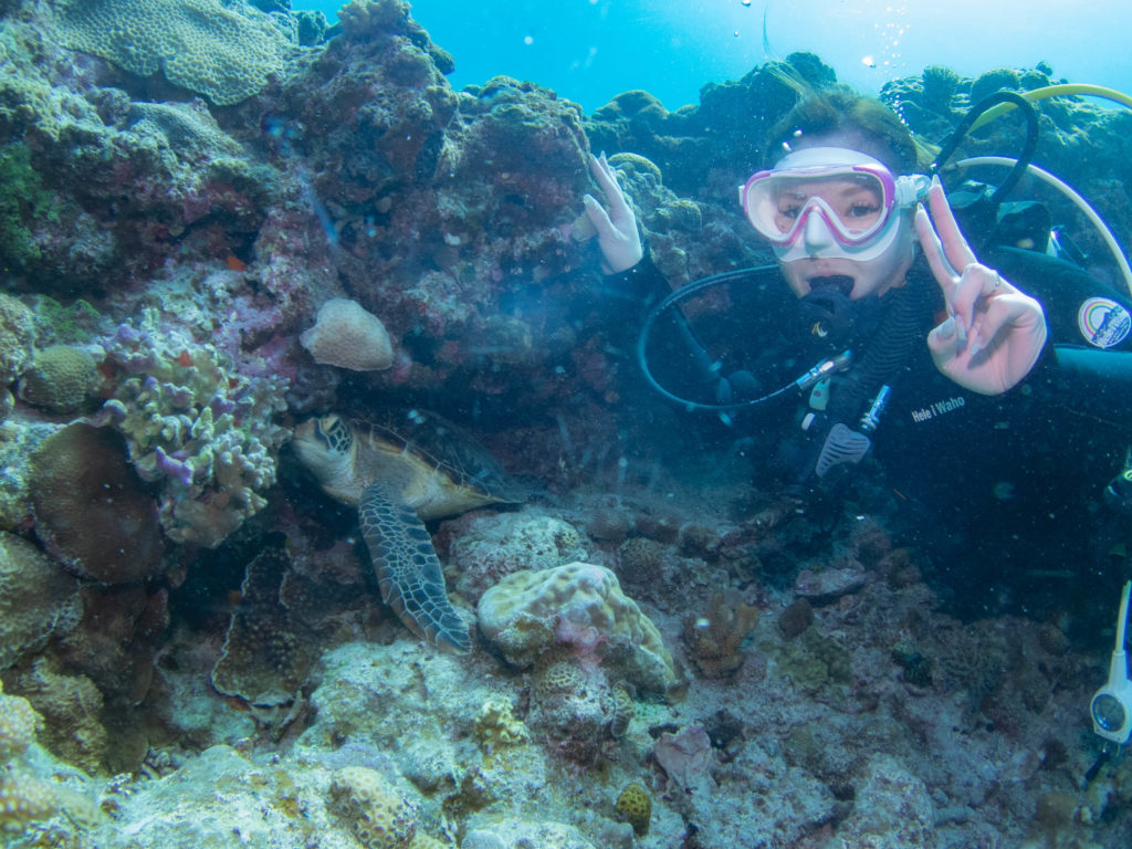ケラマ 体験ダイビング