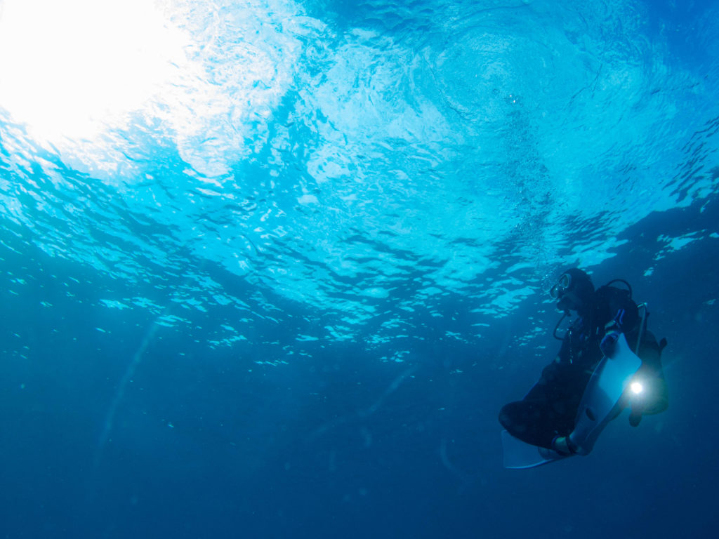 ケラマ ダイビング
