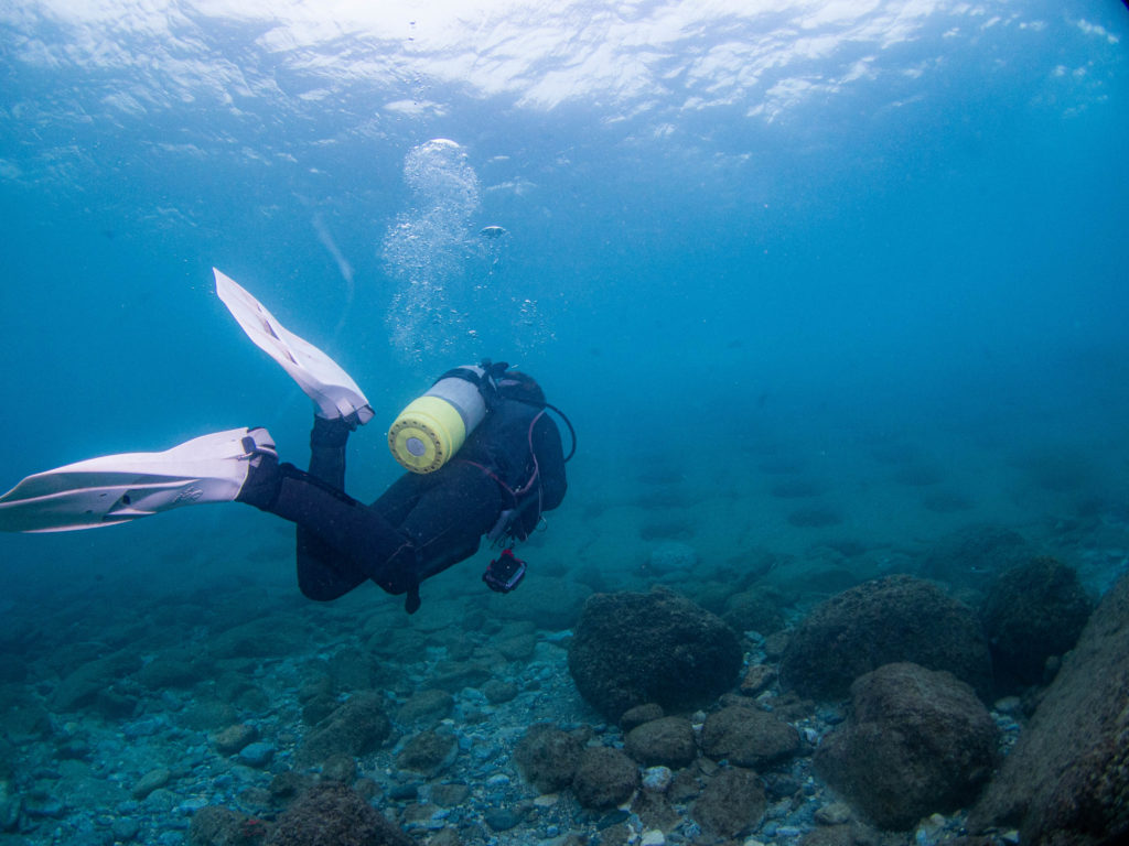 沖縄北部　ダイビング
