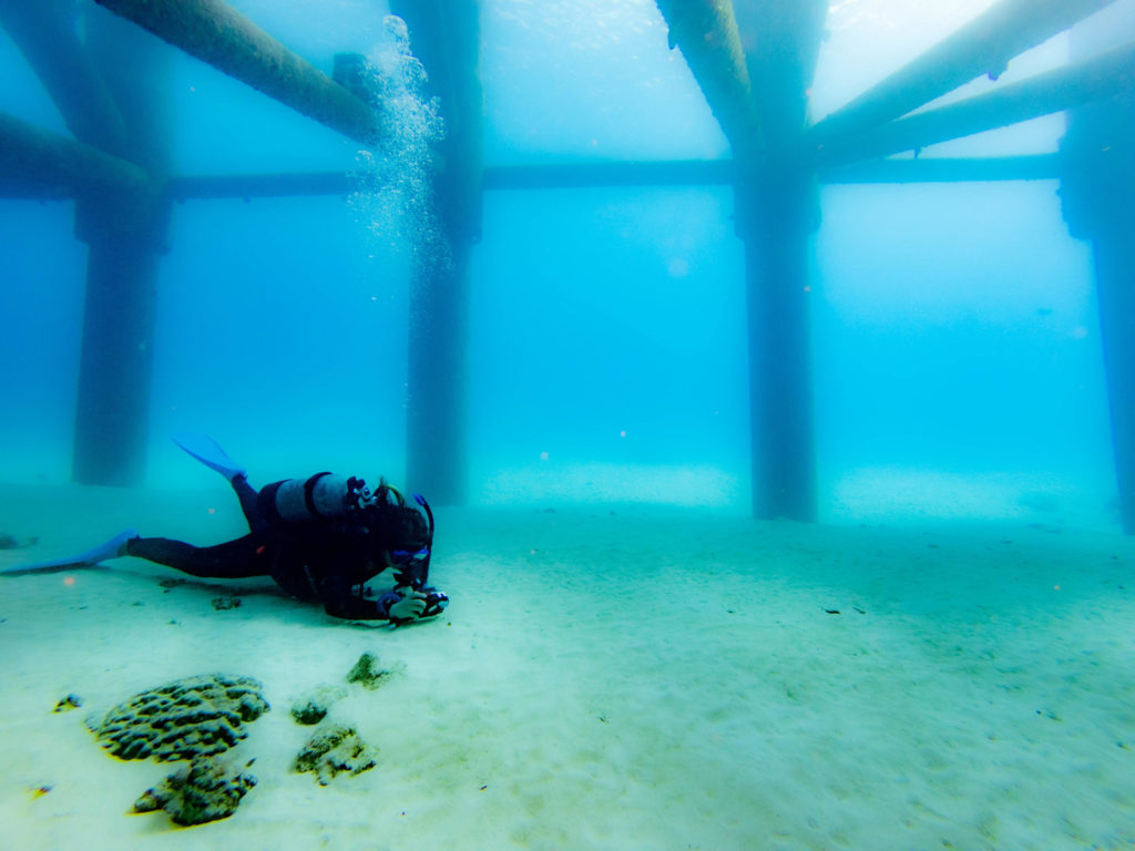 沖縄北部　ダイビング