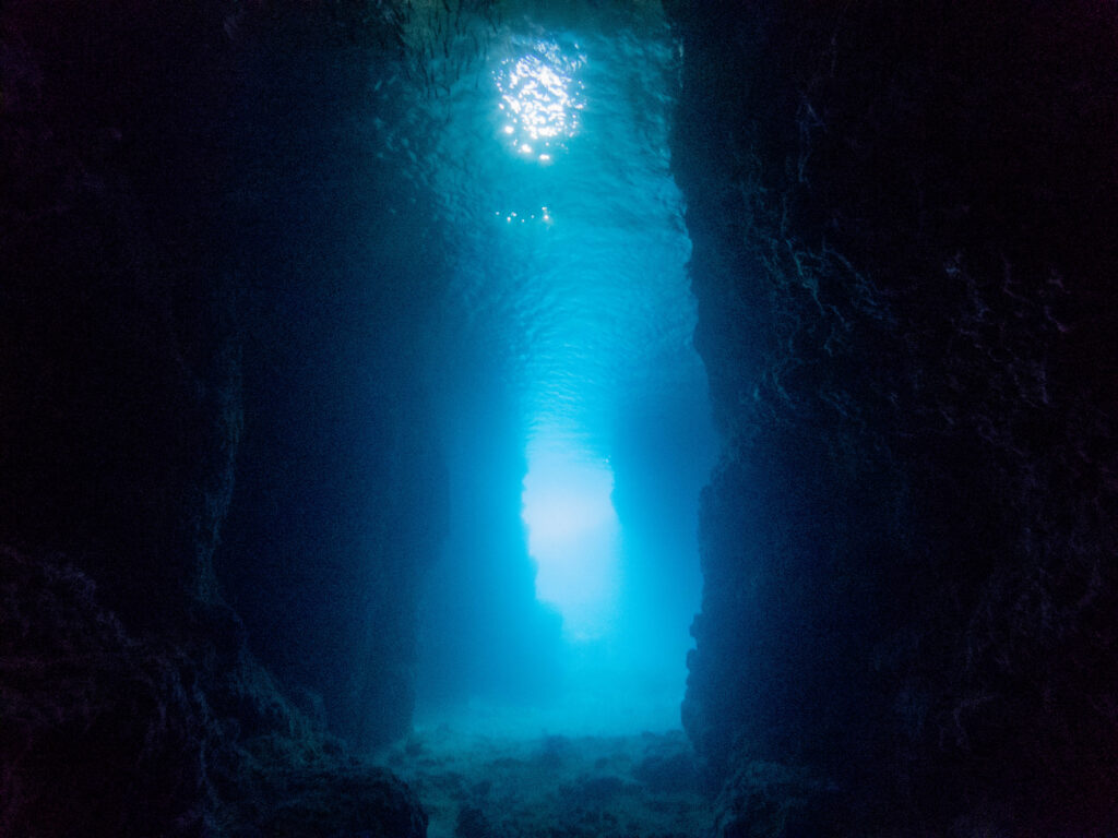 恩納村　ダイビング