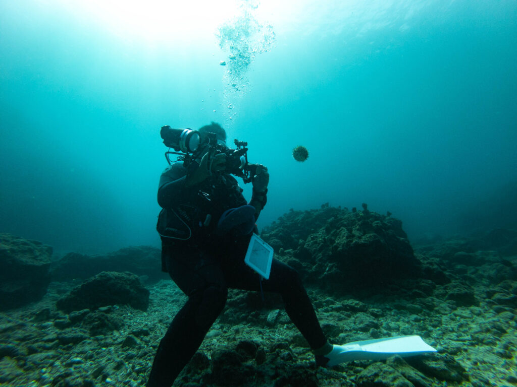 恩納村　ダイビング