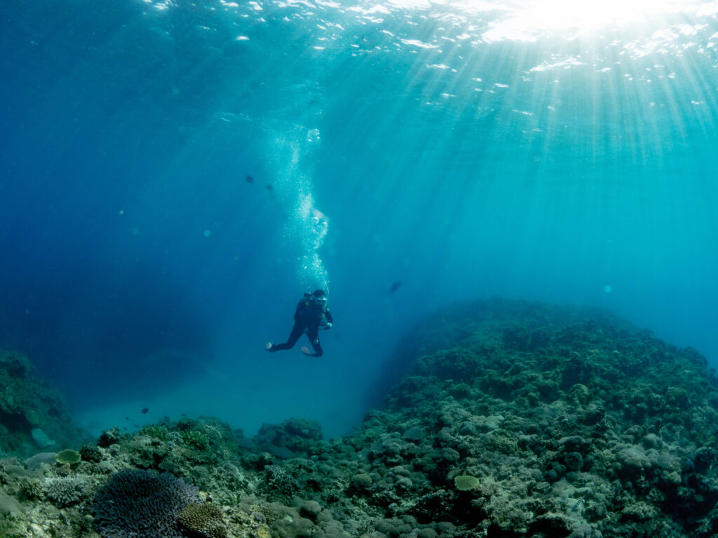 万座 ダイビング