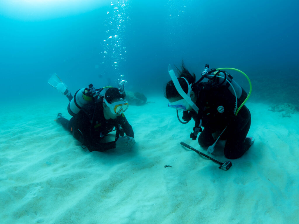 万座 ダイビング