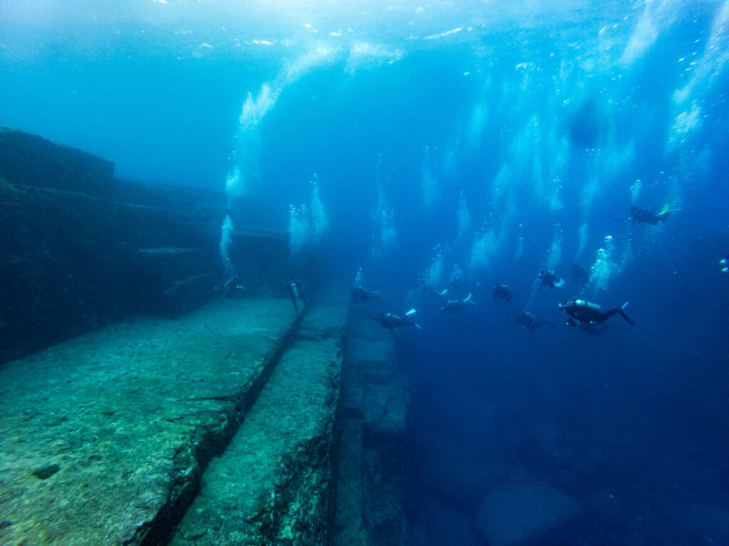 与那国　ハンマーヘッドツアー