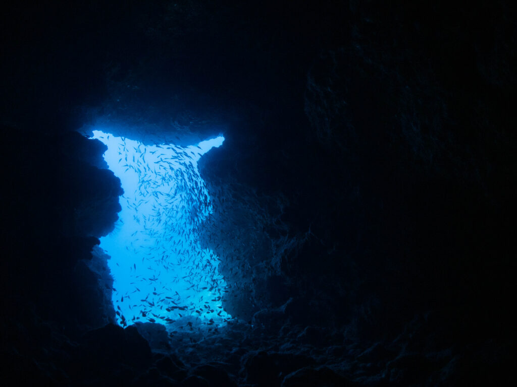 万座　ダイビング