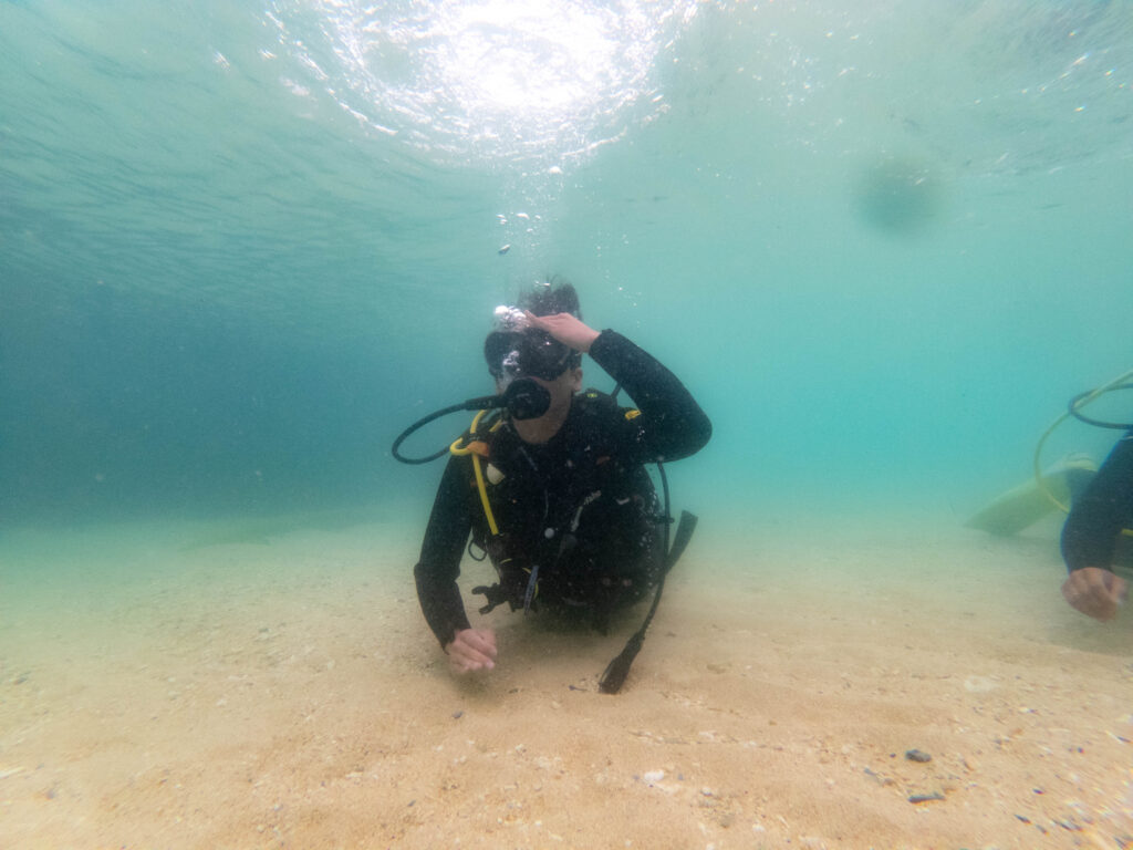 沖縄 ダイビングライセンス