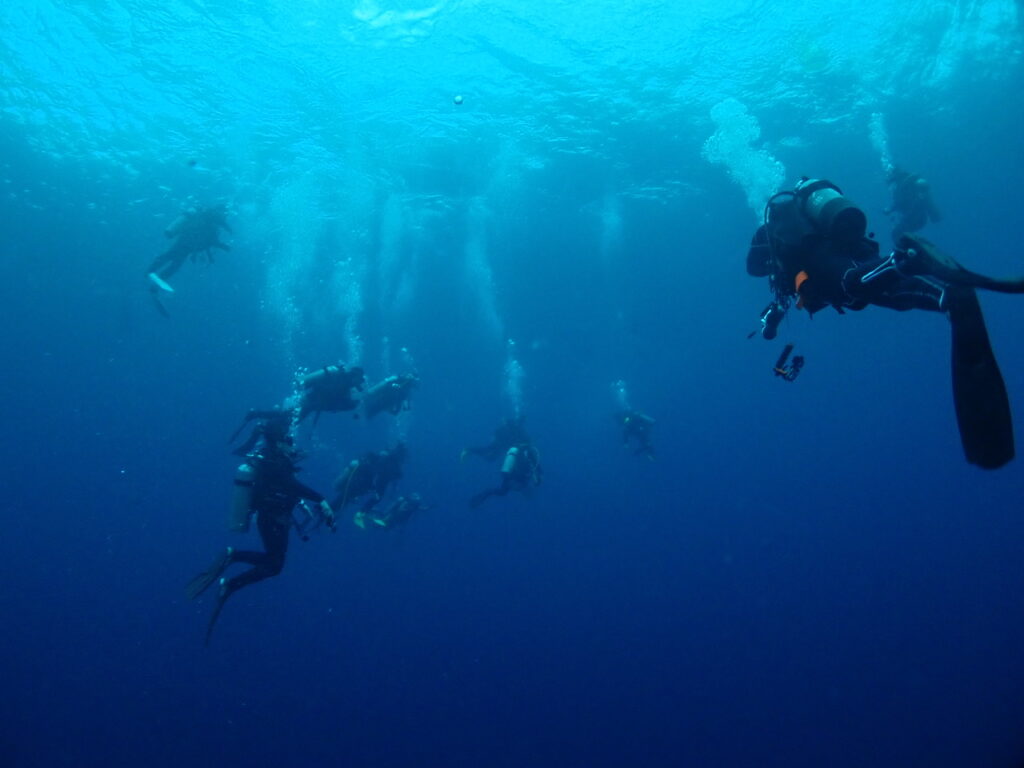 与那国　ハンマーヘッドツアー