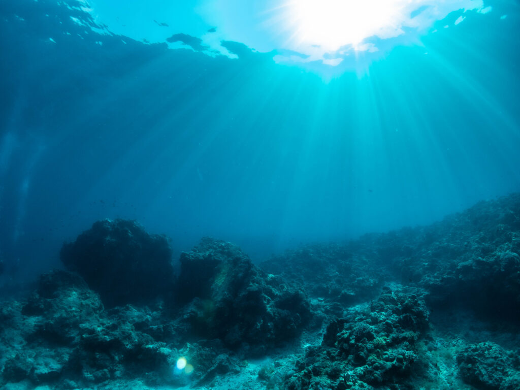 慶良間 ダイビング