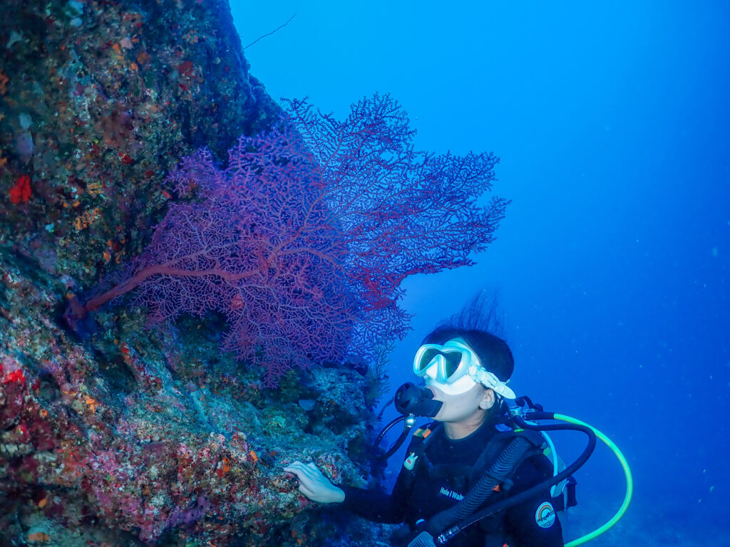 恩納村 ダイビング