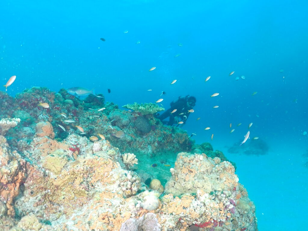 沖縄　ダイビング