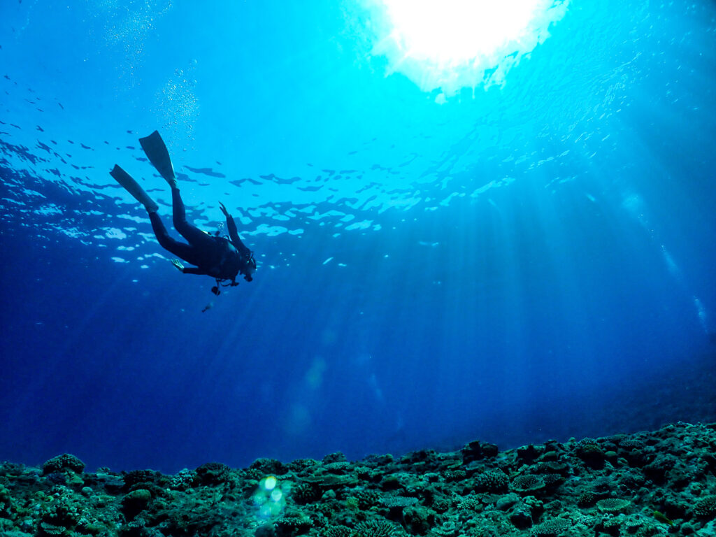 恩納村 ダイビング