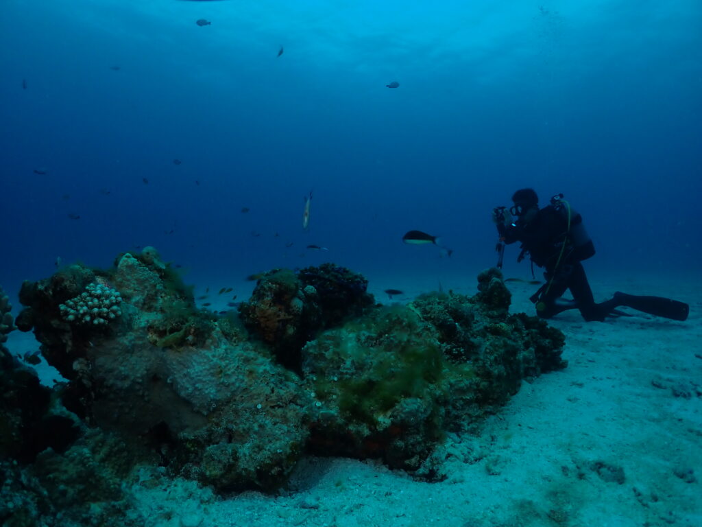 沖縄　ダイビング