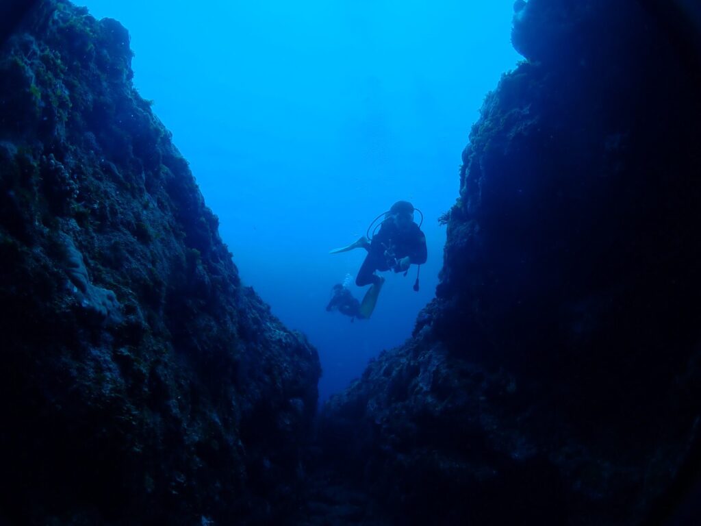 慶良間 ライセンス講習