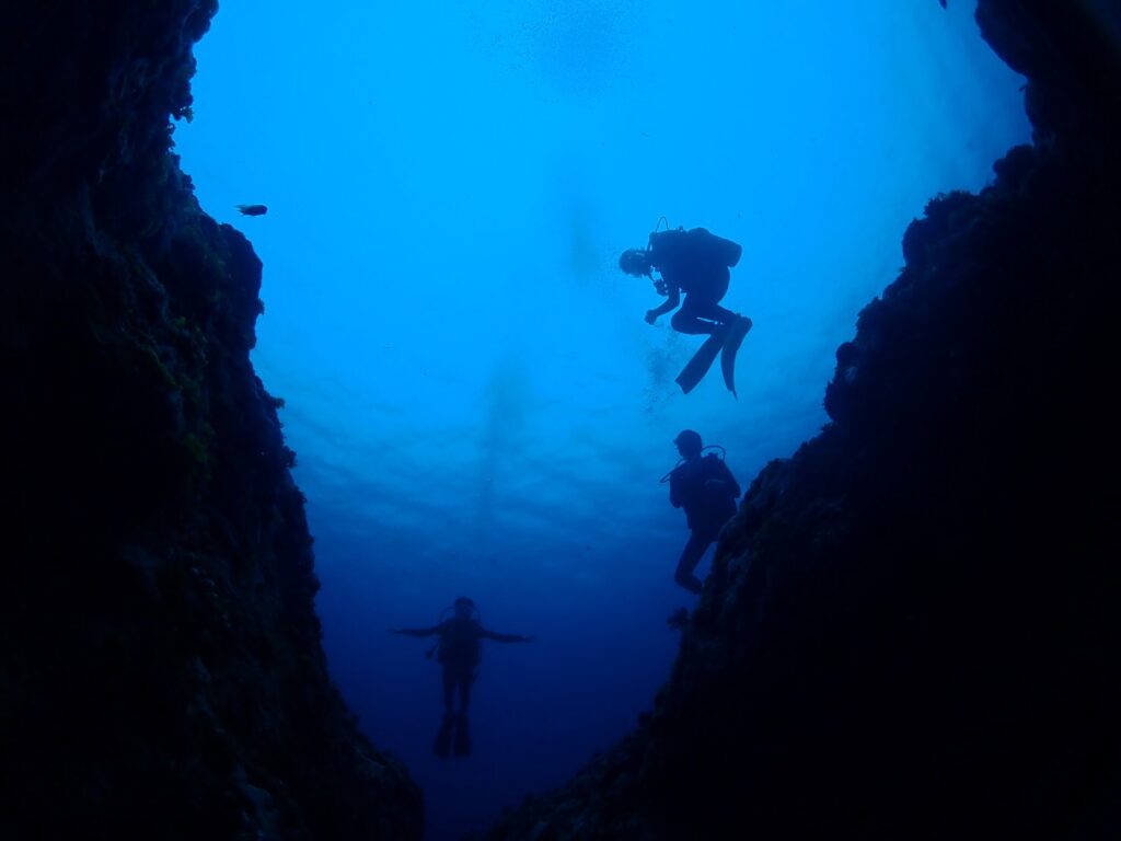 慶良間 ライセンス講習