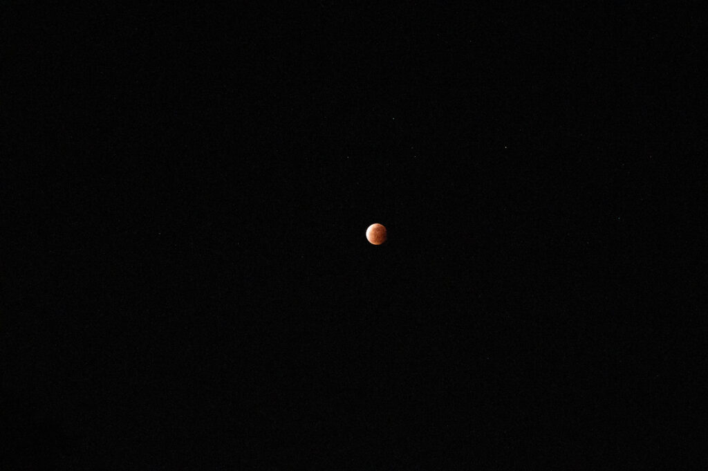 沖縄 ナイトダイビング