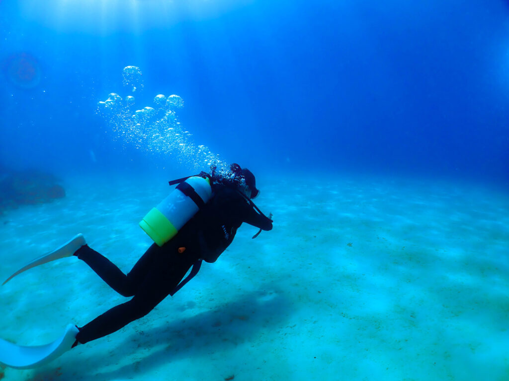 沖縄 ダイビングライセンス