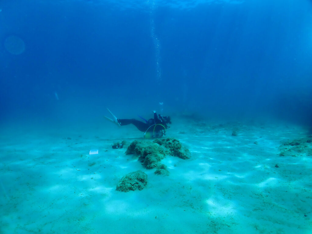 沖縄 ダイビングライセンス