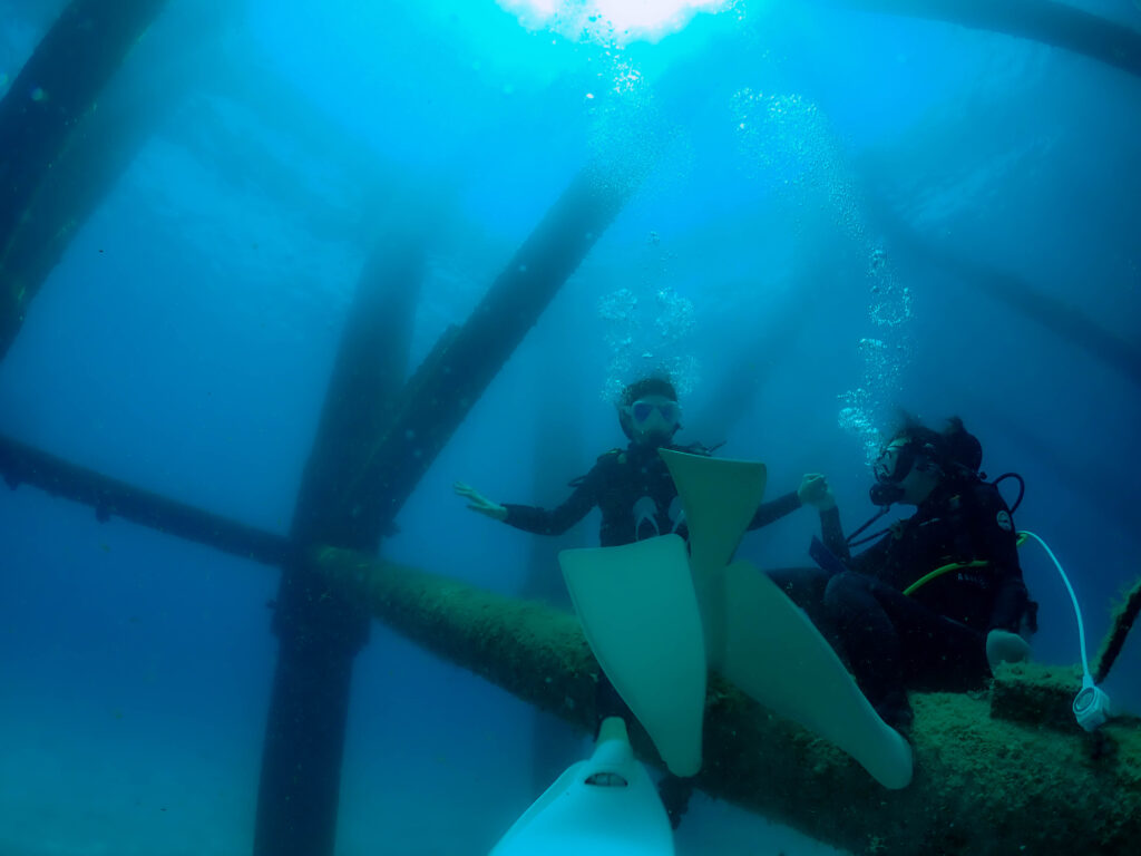 沖縄 ダイビングライセンス