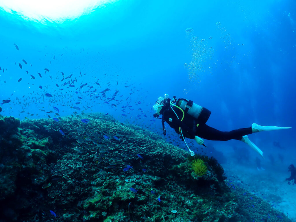 沖縄　ダイビングライセンス