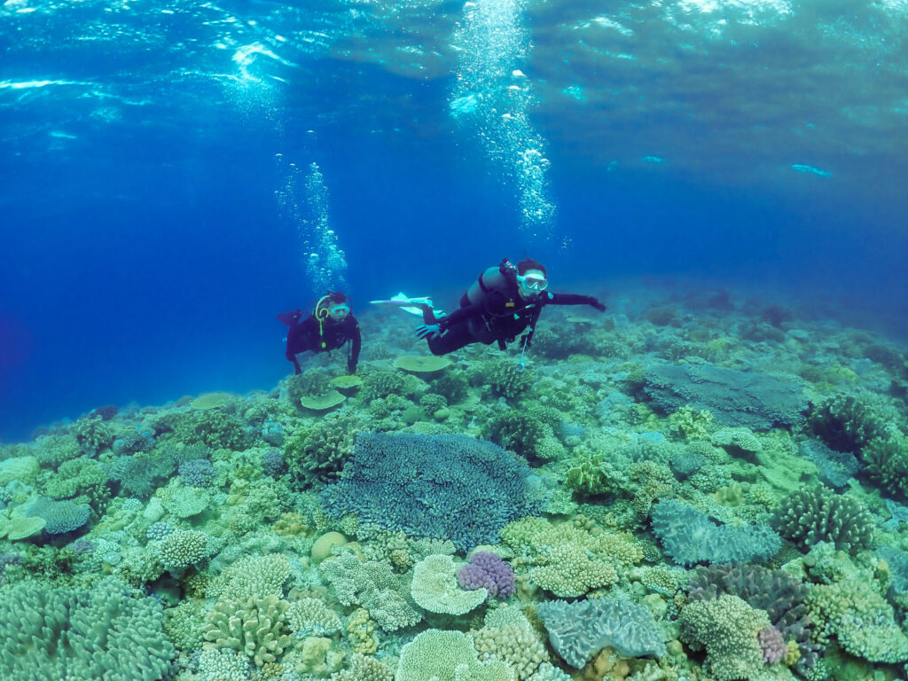 水納島 体験ダイビング