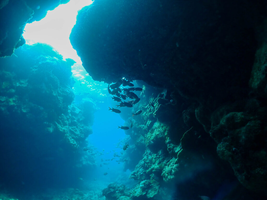 瀬底島 体験ダイビング