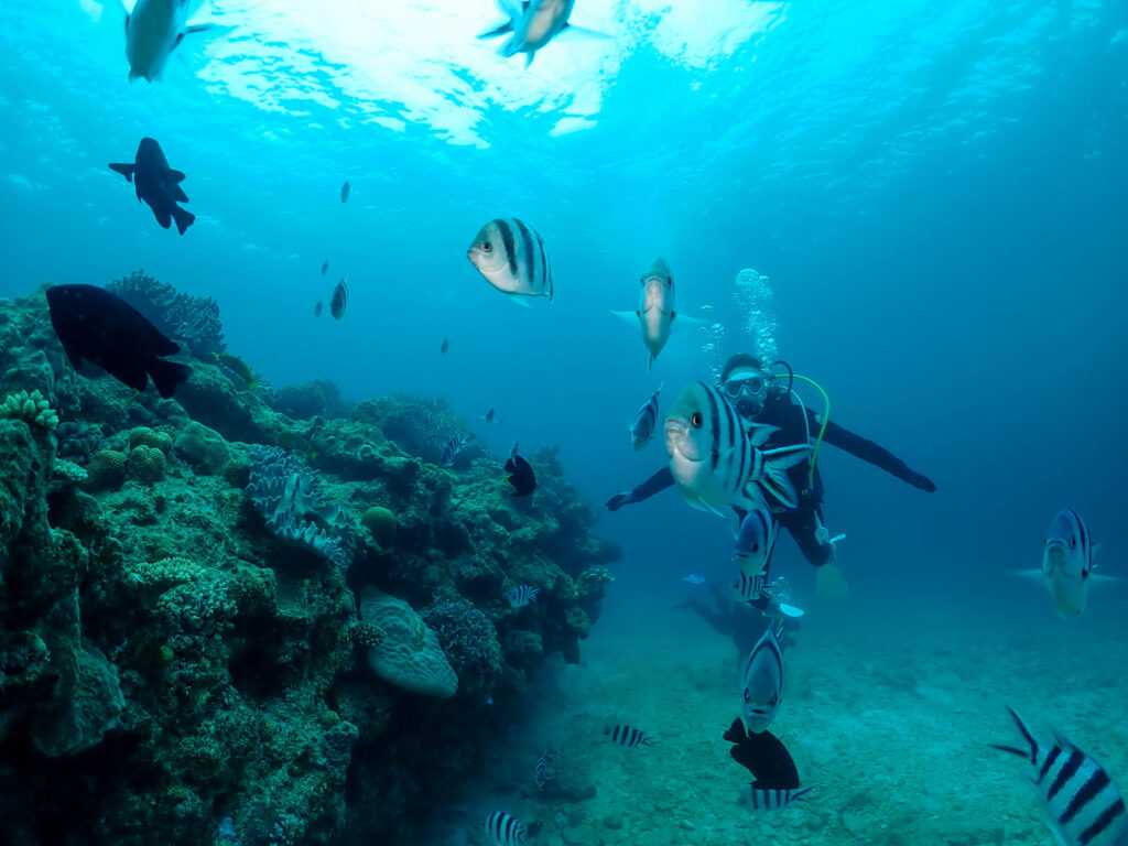 瀬底島 体験ダイビング