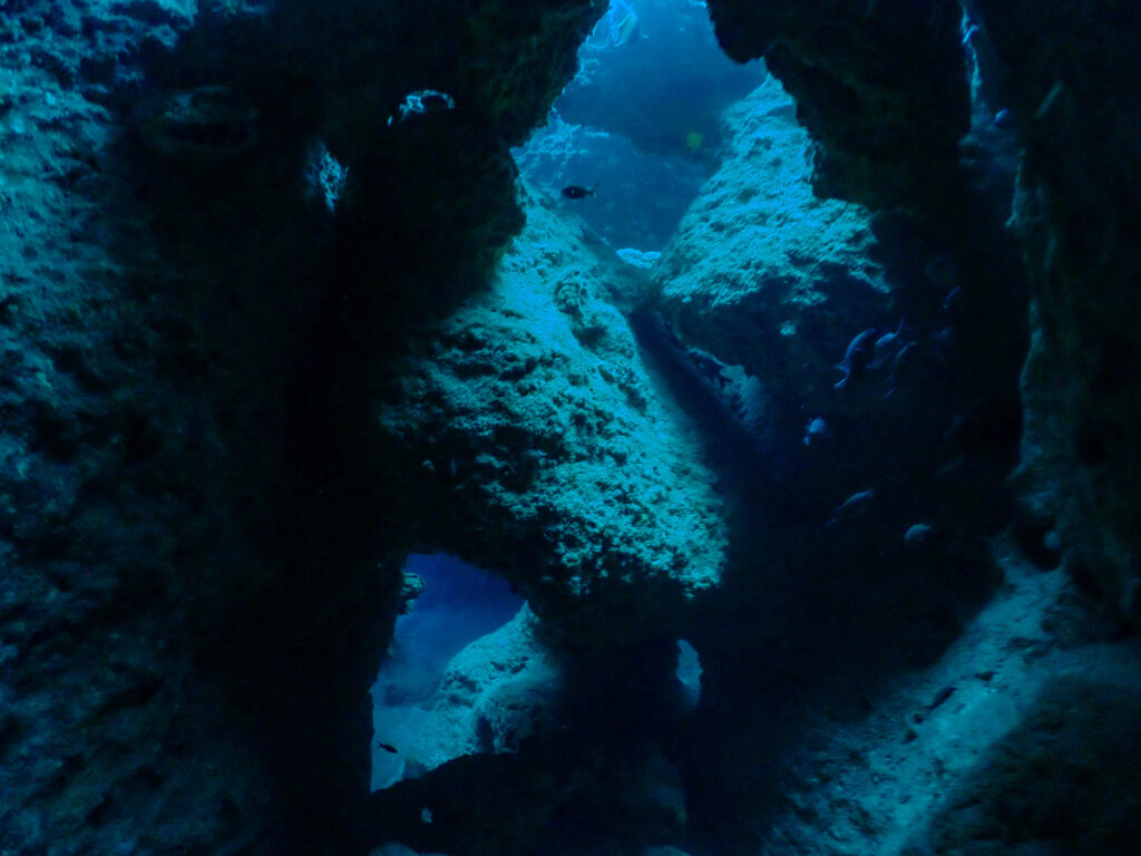 沖縄　ダイビング