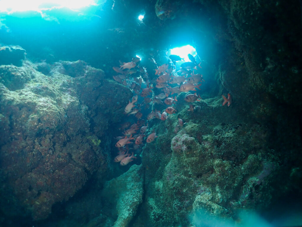瀬底島　体験ダイビング