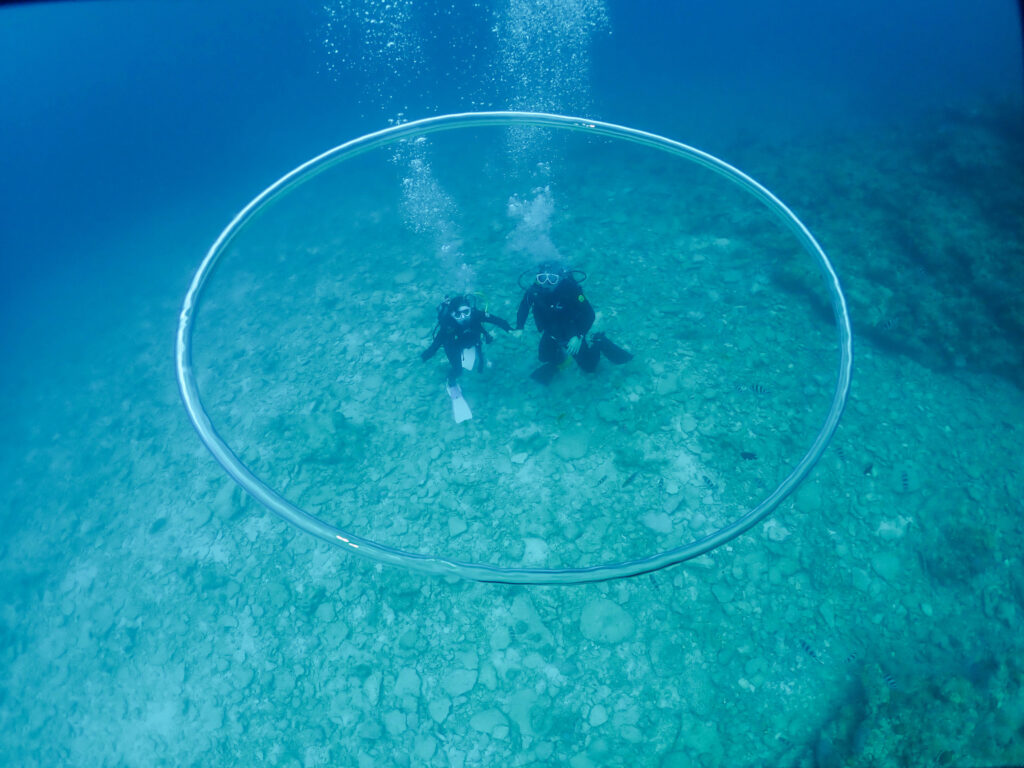瀬底島　体験ダイビング