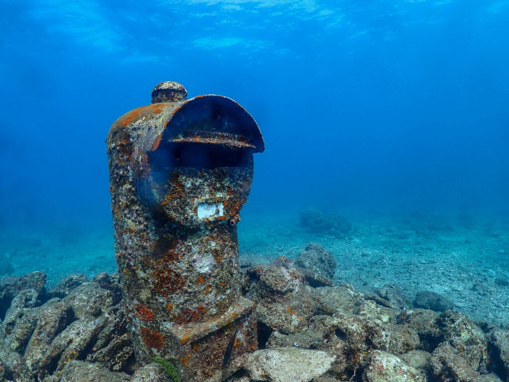 沖縄　ダイビング