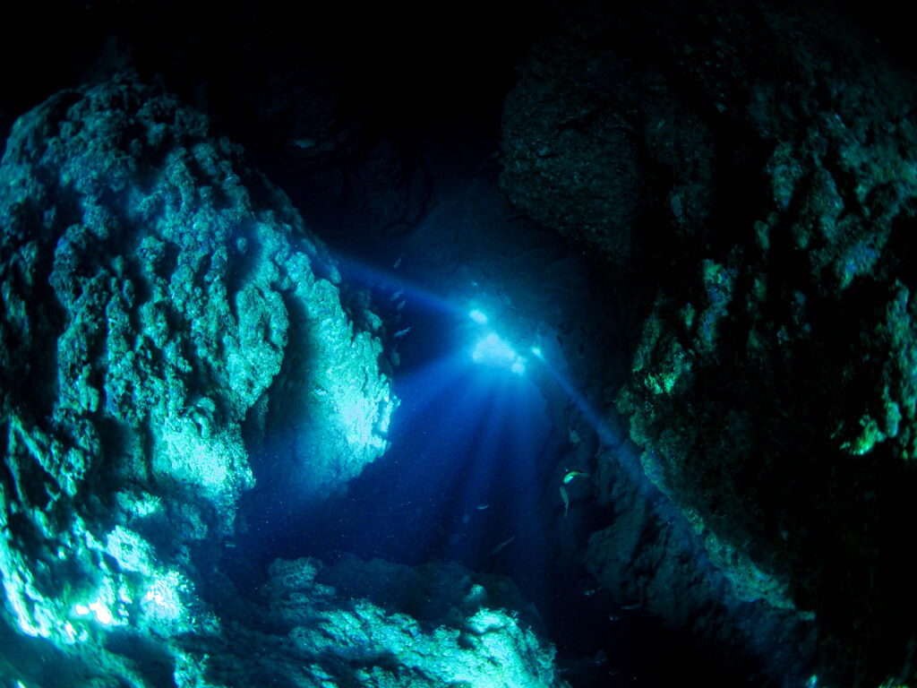 万座 ダイビング