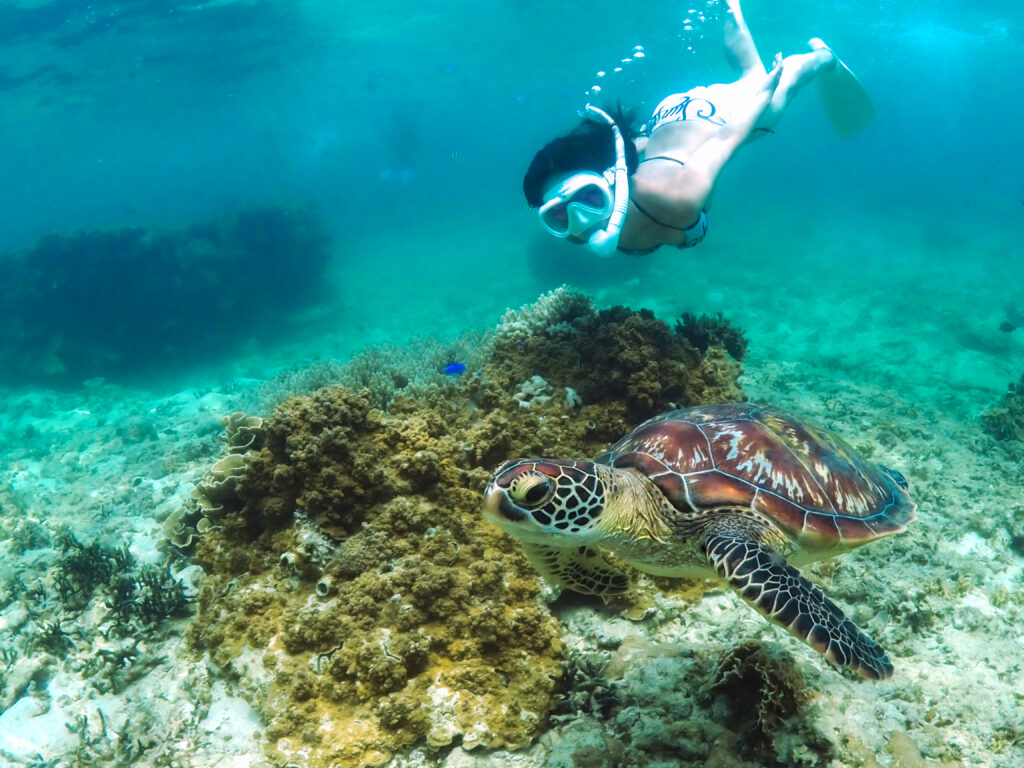 沖縄 スキンダイビング