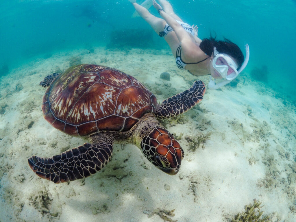 沖縄 スキンダイビング