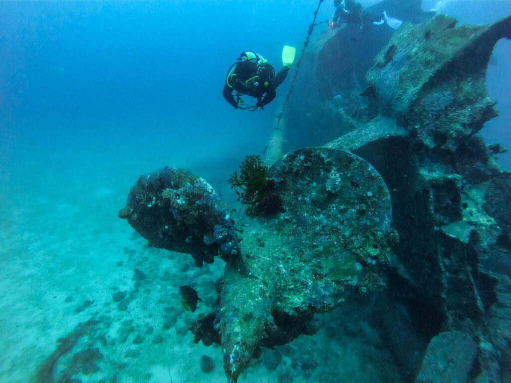 エモンズ　ダイビング