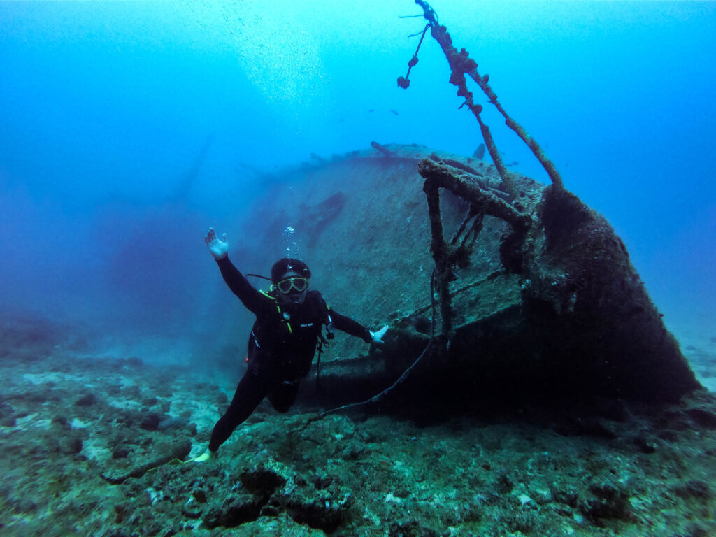エモンズ　ダイビング