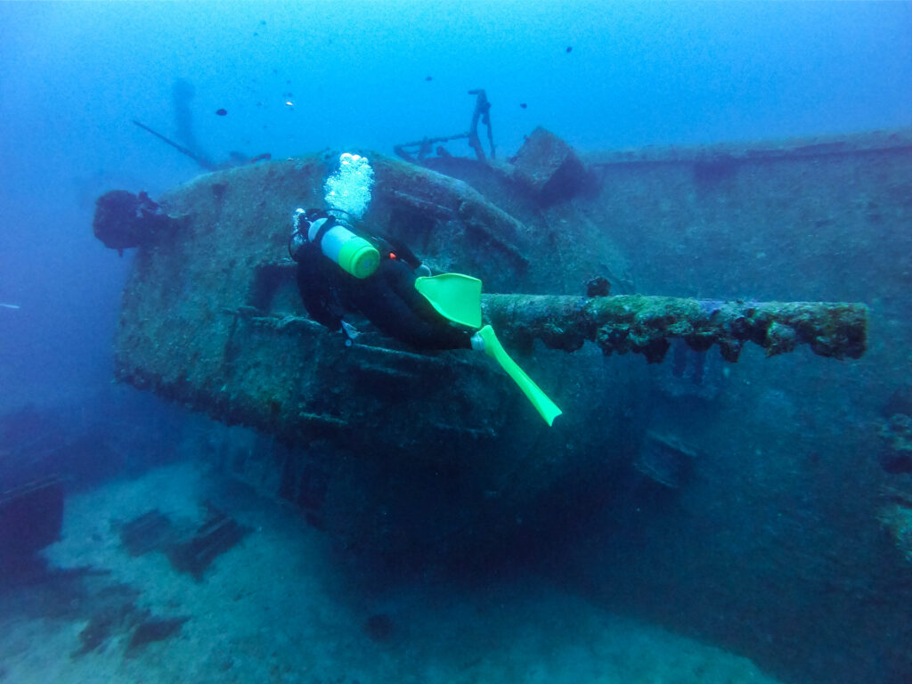 エモンズ　ダイビング