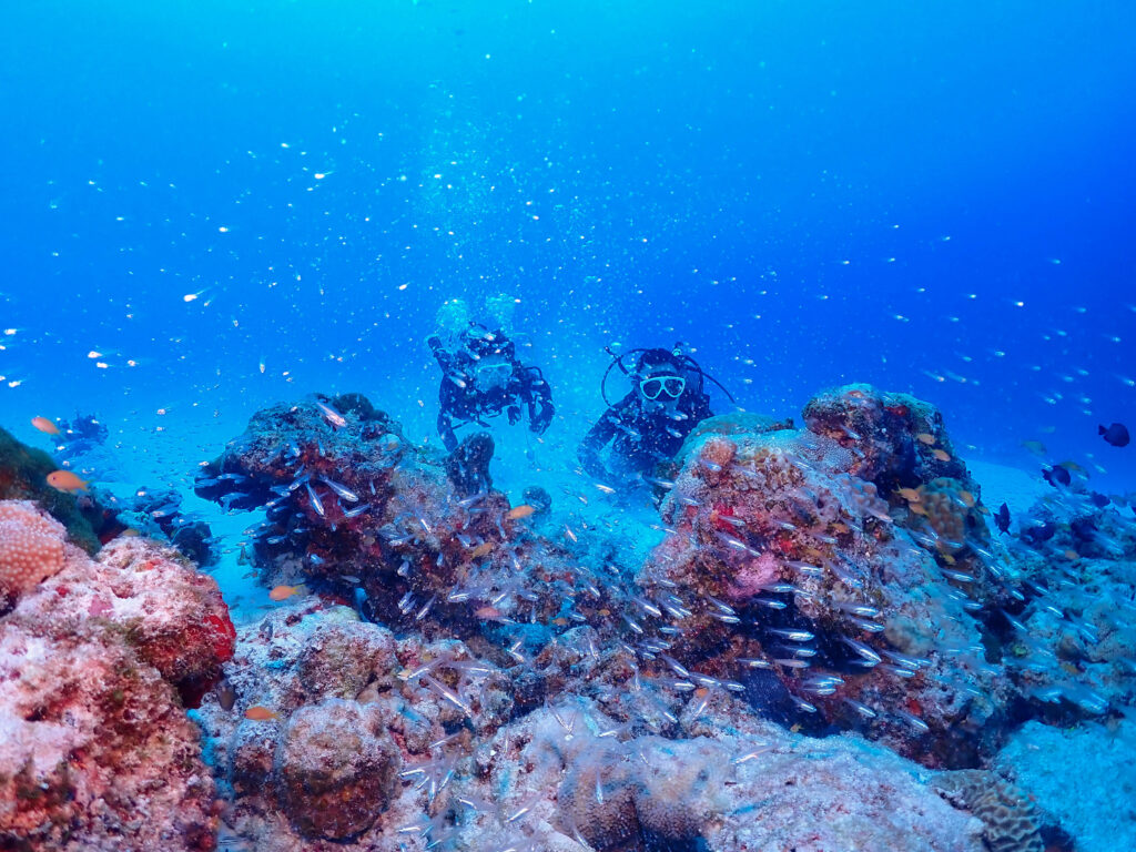 水納島 ダイビング