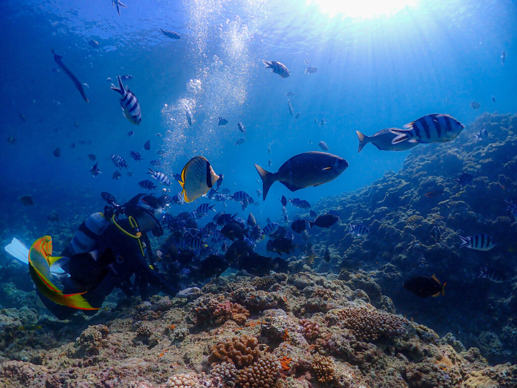 青の洞窟 ダイビング