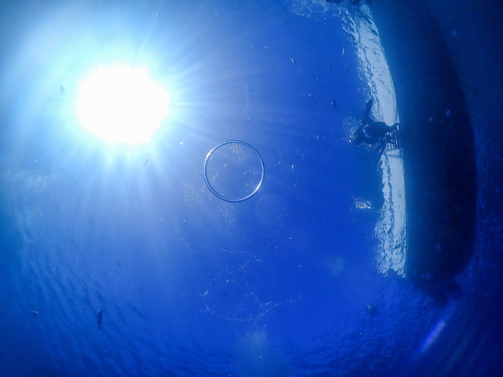 青の洞窟 ダイビング