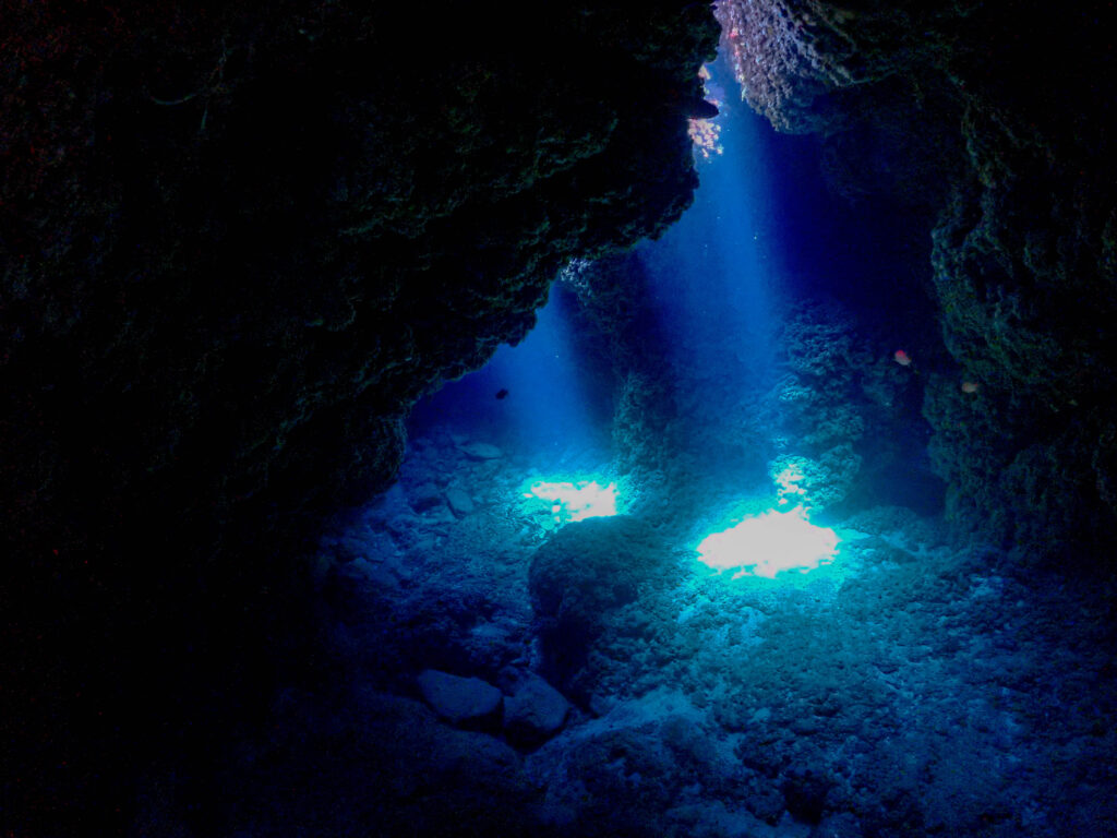 慶良間 ダイビング