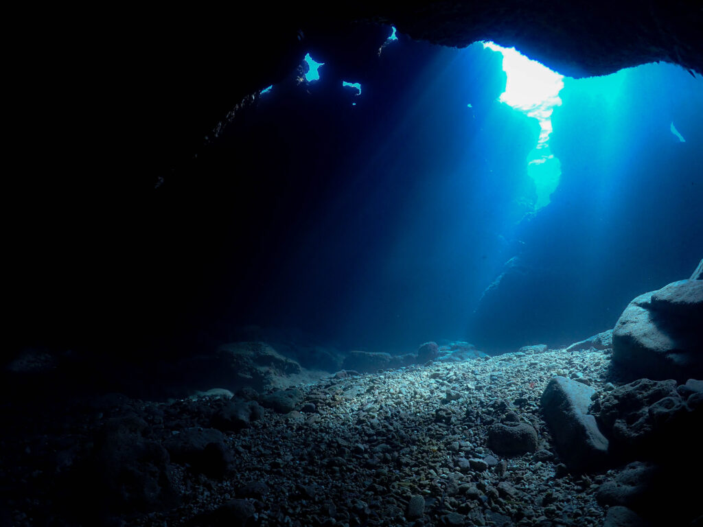 慶良間 ダイビング