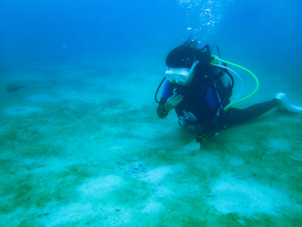 沖縄　ダイビング