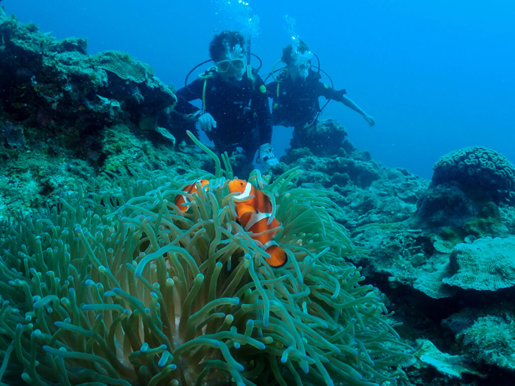 恩納村　ダイビング