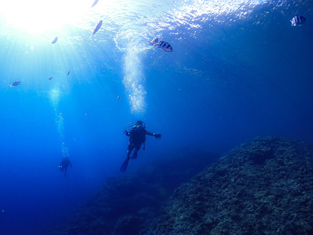 恩納村 ダイビング