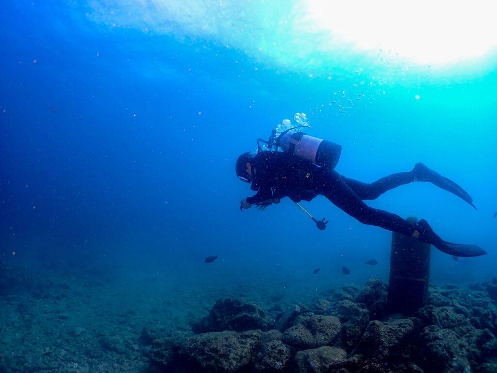沖縄　ダイビングライセンス取得