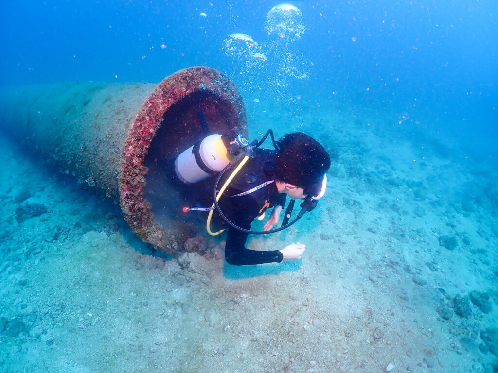 沖縄　ダイビングライセンス取得